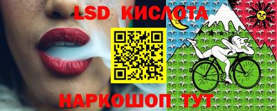 не бодяженный Гатчина