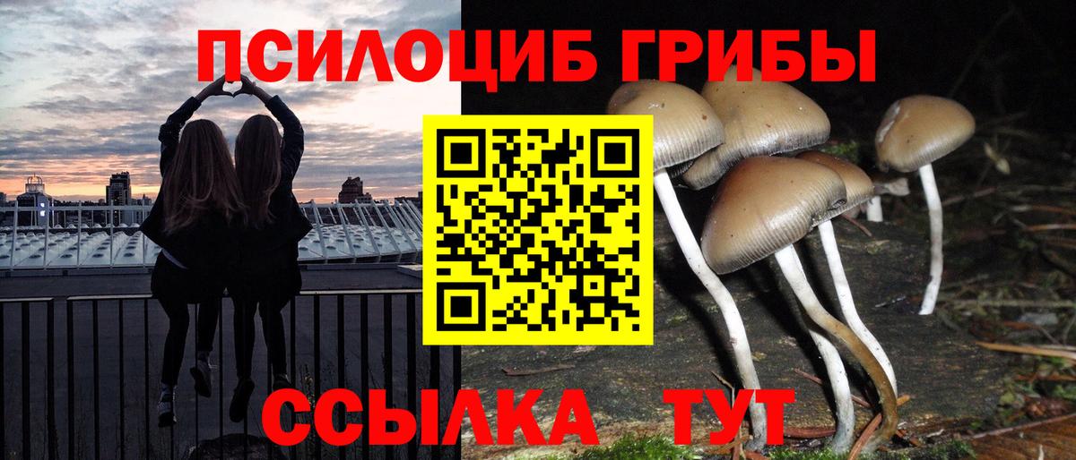 Галлюциногенные грибы мухоморы Верхняя Салда