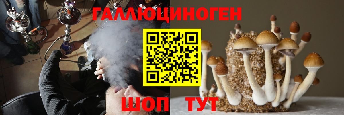 Псилоцибиновые грибы мухоморы  Псилоцибиновые грибы Magic Shrooms  даркнет сайт  Вход с VPN  Верхняя Салда 